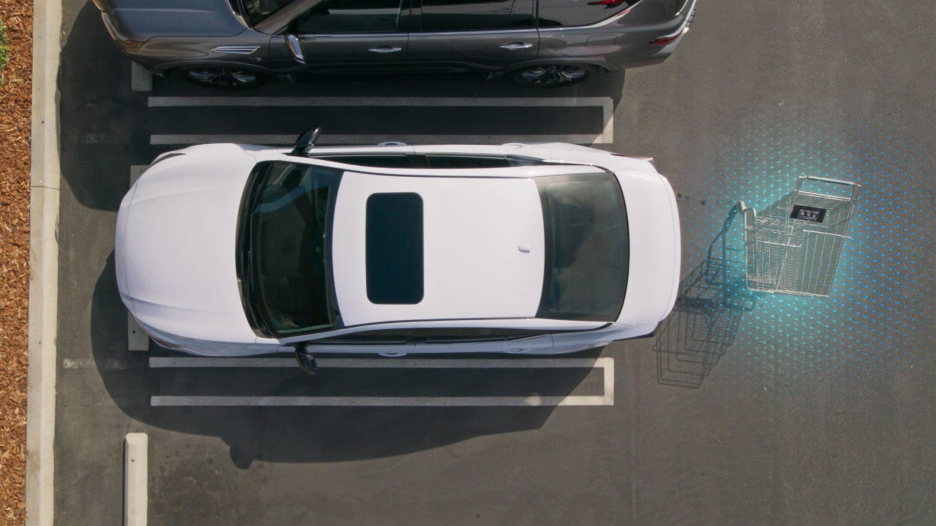 2026 Nissan Altima | Nissan of St. Augustine in St. Augustine, FL