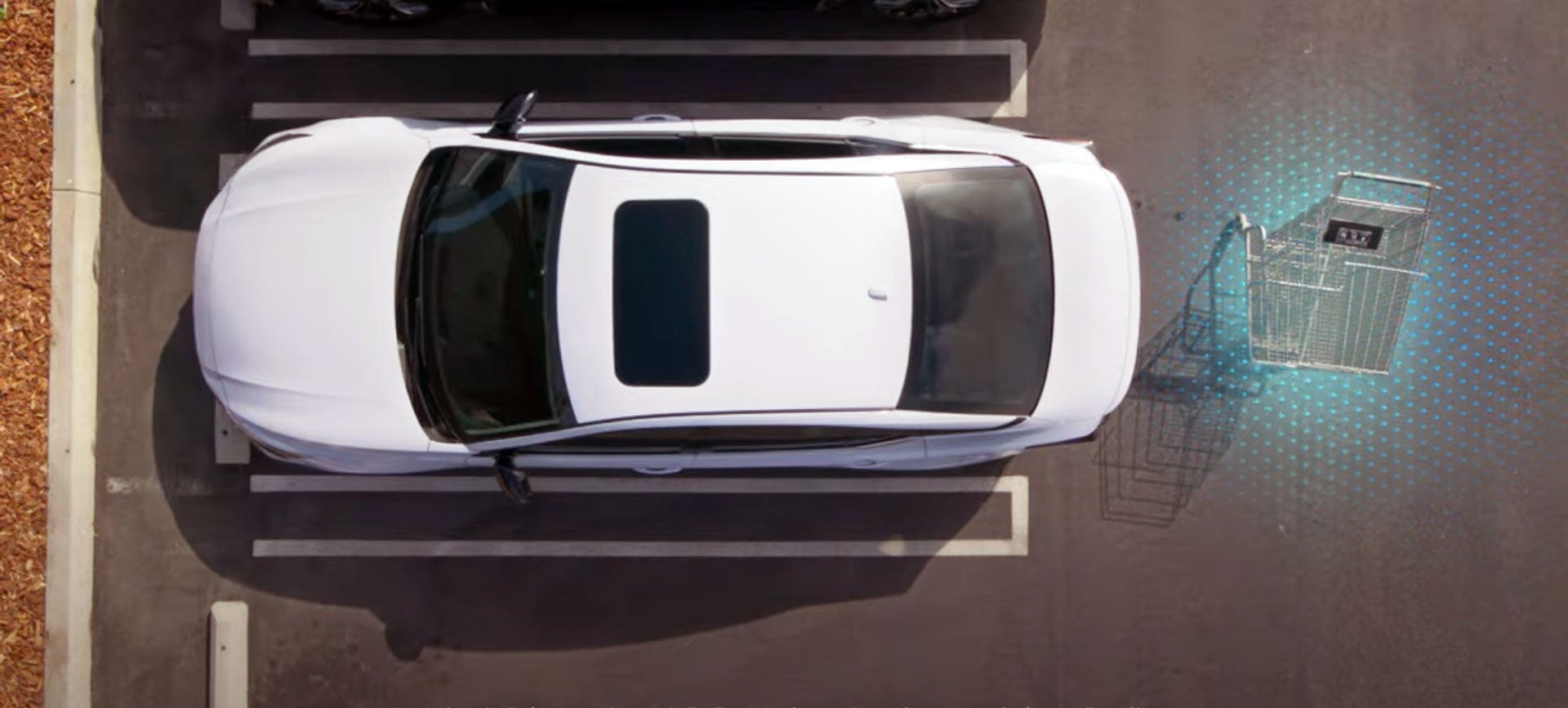 Nissan of St. Augustine in St. Augustine FL